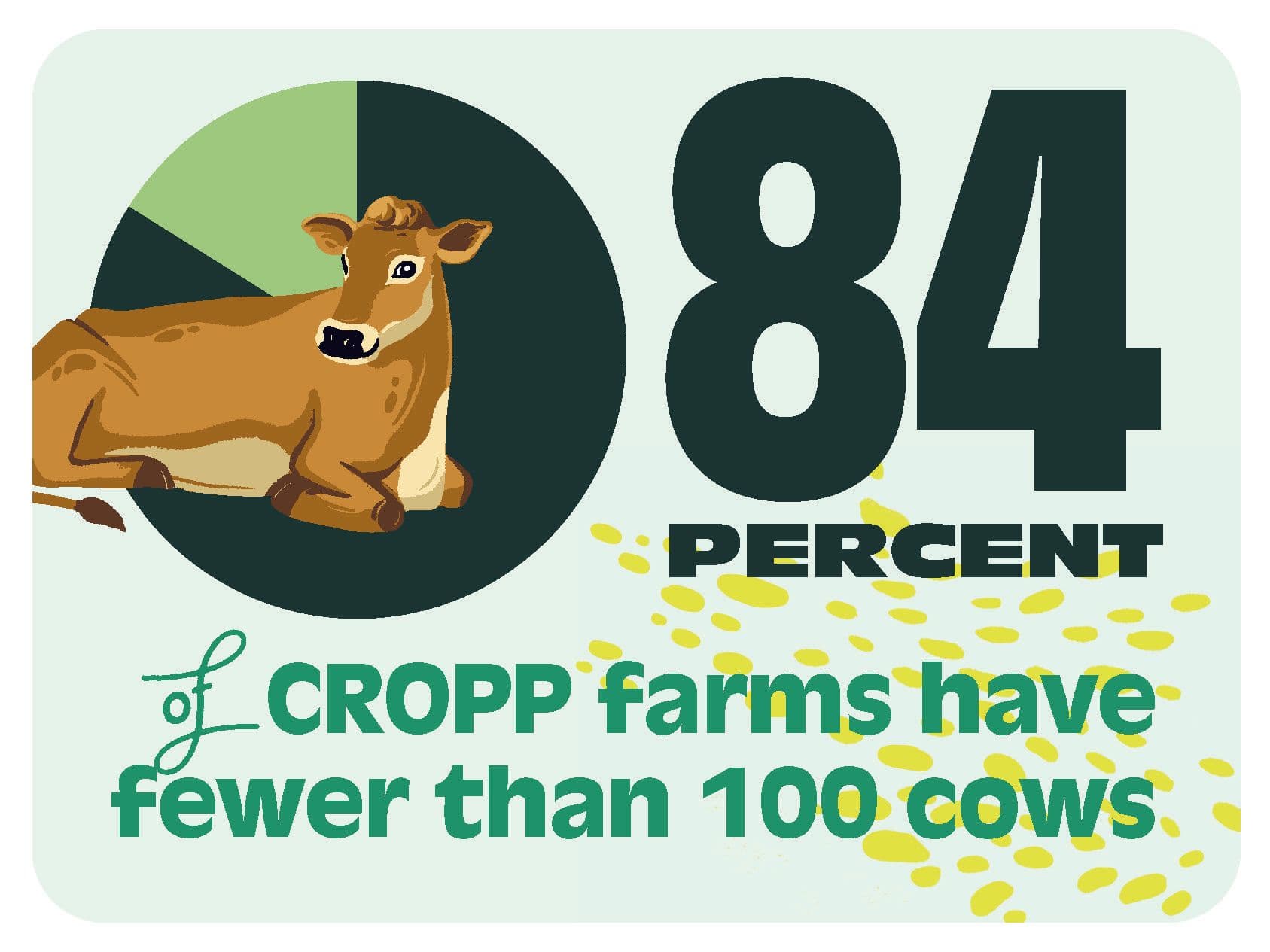 84% of CROPP Farms Have Fewer Than 100 Cows