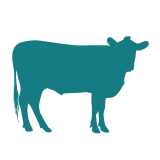 Our Producer Pools | Farmers.coop